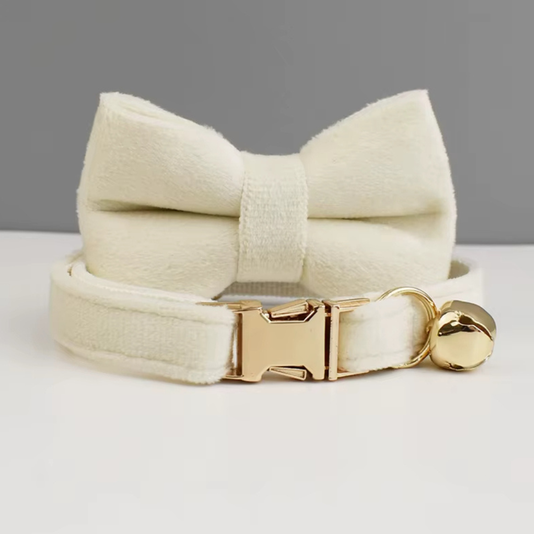 Kattenhalsband met Belletje en verwijderbare Strik